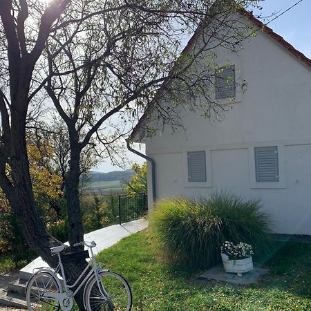 Szőlőskert vendégház Balatonszolos Exterior foto