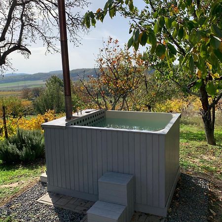 Szőlőskert vendégház Balatonszolos Exterior foto