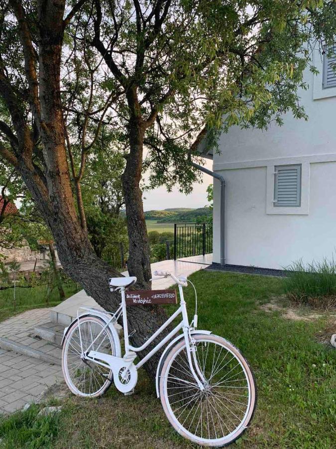 Szőlőskert vendégház Balatonszolos Exterior foto