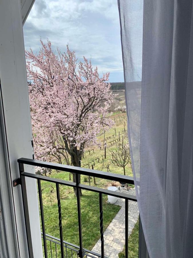 Szőlőskert vendégház Balatonszolos Exterior foto